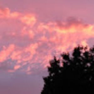 Meet your Posher, Brenda martinez